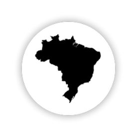 Biomas e Brasil>